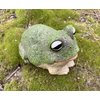 Top Brass Chunky Frog Key Hider Figurine - Cute Toad Garden Statue with Secret Compartment - Indoor/Outdoor