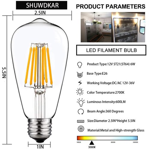 SHUWDKAR LED Light Bulbs DC 12V 6W E26 ST64 Low Voltage Bulb RV Camper Warm White 2700K Vintage Clear Glass Filament Edison Bulbs Equivalent 75W Halogen Marine Boat Solar 12V Battery Lighting,2 Pack