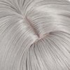 Short Grey Wig for Trailblazer Cosplay, Heat-resistant Synthetic Fluffy Hair Wig + Wig Cap for Game Honkai Star Rail