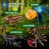 KAZI Spider Toy Building Set for Kids,Forest Bugs Building Kit,STEM Insect Toys for Girls Boys Age 8-14,Play and Display Animal Model,Gift Idea