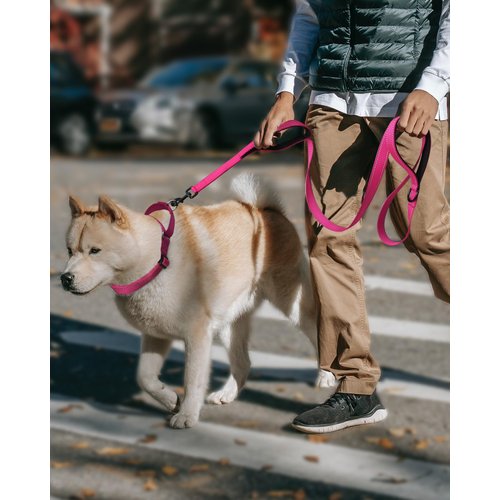 FunTags Reflective Martingale Collar for Dogs, Quick Release Buckle, 5FT Double Handle Dog Leash Padded, Dog Collar and Leash Set, Adjustable for Medium Dogs (Hotpink, M)