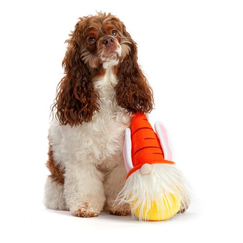 Midlee Easter Bunny Gnome Dog Toy