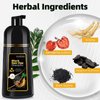 BELEZALIB Black Hair Dye Shampoo for Gray Hair, Instant 3-in-1 Color Shampoo for Women and Men, Herbal Ingredients, 100% Grey Coverage, 500ML