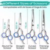 Pawtrim Professional Pet Grooming Kit – 6 in 1 Dog Grooming Scissor Kit - Dog & Cat Grooming Supplies - Adjustable Screw Scissors, 4CR Stainless Steel Dog Clippers, Hair Thinning Shears, Rubber Grips…