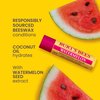 Burt's Bees Watermelon Lip Balm, Lip Moisturizer With Responsibly Sourced Beeswax, Tint-Free, Natural Conditioning Lip Treatment, 1 Tube, 0.15 oz.
