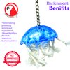 Bonka Bird Toys 0042 Small Jellyfish, Bulletproof Pull Tug Cage Toy, (10" x4") Conure, Pionus, Quaker, and Similar Sized Birds