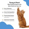 Pet Wellbeing Young at Heart for Cats - Vet-Formulated - Supports Cardiovascular System | Heart & Circulatory Health - Natural Herbal Supplement 2 oz (59 ml)