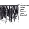 HAPPY FEATHER 2 Yards 5-6inch Black Ostrich Feathers Trim Fringe for DIY Dress Sewing Crafts Costumes Decoration