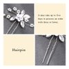 Heread Flower Bride Wedding Hair Pins Crystal Bridal Head Piece Pearl Hair Accessories for Women and Girls (Pack of 2) (B Silver)