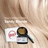got? WE GOT THE SOLUTIONS! Root Touch Up Hair Color, Brow Filler & Hairline Powder for Sandy Blonde - Temporary Thinning & Gray Hair Cover Up with Pigment Infused Binding - 0.14 Ounce