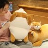 ERDAO Shiba Inu Plush Pillow,Soft Corgi Stuffed Animals Toy Cute Sleeping Puppy Doll Gifts for Kids (Smiling Eyes, 19.6 inch)