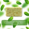 DR.JACOBS NATURALS Dr Jacobs Naturals, Triple Milled Loofah Exfoliating Castile Bar Soap 5 oz. - Minty Cucumber Mojito