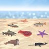 Fantarea Ocean Sea Animal Figures Model Playsets 8 PCS Salmon Walrus Narwhal Starfish Slug Figurine Party Favors Supplies Cake Toppers Decoration Gifts Collection Toys for Kids Boys Girls