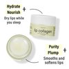 SUDAJI Lip Collagen + Peptide Complex 0.7oz, Collagen Lip Balm with Vitamins E, A -Lip Butter to Nourish & Hydrate Dry Lips, Moisturizing Lip Mask Overnight, Gentle exfoliating Collagen for Lips