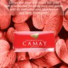 Camay Classic Bar Soap - Moisturizing Camay Classic Soap, Softly Scented Camay Body Wash , 4 Ounce Bath Bars (12 Bars)