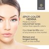 Parallel Products Spot Color Henna Kit - Henna Hair Dye - 3 grams - Tint for Professional Spot Coloring - With Mixing Dish - Covers Grey Hair - Root Touch Up (Black)
