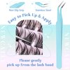 Lash Clusters Kit Wispy Natural Cluster Eyelash Extension Kit DIY Lash Extension Kit C Curl 10-16MM Eyelash Clusters Volume Individual Lashes Kit by Newcally