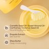 Petitfee Beautifying Mood On Cleanser 3.38 fl. oz. (100ml) - Cleansing Balm, Makeup Removal, Pore Cleansing, Dissolves Sunscreen, Moisturizing Finish with Citrus Aroma Oil, Korean Skincare