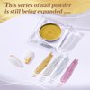 PrettyDiva Nail Powder Gold Chrome Nail Powder Chrome Powder Nail Art Solid Nail Art Powders for Nails
