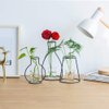 Nuptio Set of 3 Creative Desktop Planter Set with Glass Cup Vases Iron Metal Stand for Water Planting Flower Arrangement Decoration Gift for Home Wedding Centerpieces Décor (3 Pcs)…