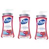 Dial Complete Foaming Hand Wash Antioxidant, Power Berries 7.5oz (Pack of 3)