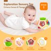 hahaland Montessori Toys for 1 Year Old Girl Gifts-Busy Activity Cube Travel Toys for 12-18 Months Baby Sensory Ball Development Educational Toys for 3 6 12 18 Months Toys
