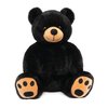 WEIGEDU Black Teddy Bear Stuffed Animals Plush Toys, Stuffed Black Bear, Teddy Bear Plush Toys for Boy Girl Kids Birthday
