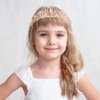 BBTO 10 Pcs Crystal Tiara and Crowns for Women Girls Princess Rhinestone Crown Queen Headband with Combs Bride Crown Tiara for Birthday Party Wedding Prom Hair Accessories (Rose Gold)