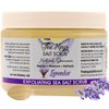The Keys Salt Scrub - Lavender Sea Salt Scrub - Exfoliating Body Scrub with Wooden Spoon - Moisturizing Exfoliator for Face, Hands, Foot, Bath, Manicure & Pedicure, and Bikini Area Skin Care (12 oz.)