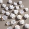 Tyuimhx Flowers Nail Charms 3D Resin White & Aurora Clear Rose Designs Nail Art Charms for Acrylic Nails Flatback Floral Nail Supplies for Women Girls DIY Manicure Decorations Crafts (6 Grids)
