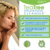 Eye Eco Age-Defying Tea Tree Eyelid and Facial Cleanser –Hydrating & Non-Irritating Cleanser – Infused with Shea Butter & Vitamin E - Vegan and Gluten-Free - 50mL