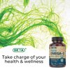 DEVA Vegan Omega-3 DHA Supplement, Once-Per-Day Softgel 200 MG, Carrageenan Free, Gelatin Free, Non-Fish, Algae Oil, Omega-3 Fatty Acids - 90 Softgels