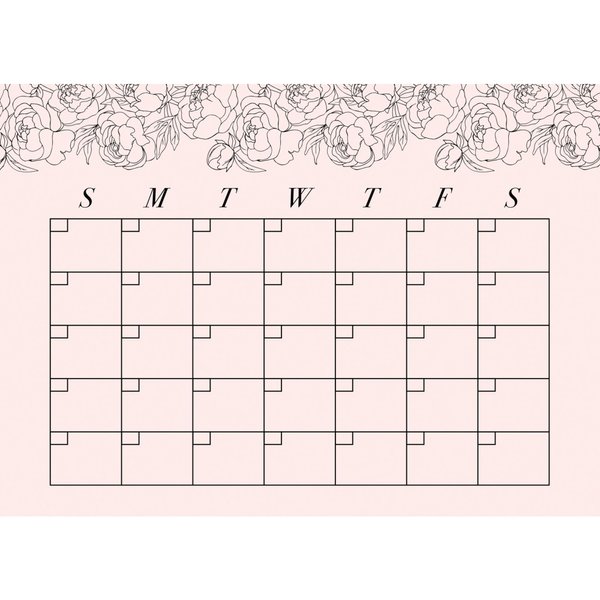RoomMates RMK4877SCM Blush Peony Monthly Calendar Dry Erase Peel and Stick Wall Decals