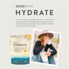 GOODONYA Organic Hydration Electrolyte Powder | Lemon, Coconut Water, Magnesium, Himalayan Pink Salt | Only 1g Sugar, No Artificial Flavors | USDA Organic & Plant-Based | 20 Servings