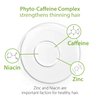 Plantur 39 Phyto-Caffeine Women's 3-Step System for Colored, Stressed Hair - Shampoo (8.45 fl), Conditioner (5.07 fl), Tonic (6.76 fl)