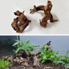 Hamiledyi Aquarium Driftwood,Natural Coral Wood,Fish Tank Driftwood Assorted Branches Reptile Tank Decor Aquarium Decoration(3.5-7in 5Pcs)