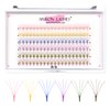 Colored Premade Fans Eyelash Extensions 5D 12mm Professional Colored Individual Lashes Volume Lash Extensions Ponited Base Premade Fans
