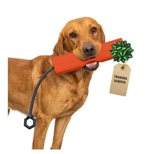 GUNNER Dog Training Bumper - Dog Retriever Training Dummy, Retrieving Dummies for Dogs, Dog Bumpers for Water Retrieving with Adjustable Rope (Orange)