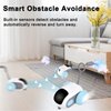 Petmolico Smart Interactive Cat Toy Remote Control Cat Exercise Toys for Bored Indoor Electronic Cat Toys Blue