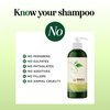 Oily Hair Shampoo for Greasy Hair - Clarifying Shampoo for Oily Hair and Dry Scalp Cleanser for Build Up - Deep Cleansing Shampoo for Oily Scalp Toner with Purifying Essential Oils for Hair Care