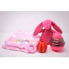 SoSoCute Pink Dog Gift Box - Puppy Chew Toy Set of 5 - Puppy Care Package with Dog Blanket, Squeaky Plush, Rubber Puppy Teether, Teething Ball, and Treat Ball for Small and Medium Dogs