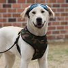 Puppia Soft Dog Harness No Choke Over-The-Head Triple Layered Breathable Mesh Adjustable Chest Belt and Quick-Release Buckle, Camouflage, Small