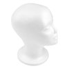 CHIVENIDO Styrofoam Wig Head - 2PCS Female Foam Mannequin Head Stand and Holder for Style, Model and Display Hair, Hats and Hairpieces, Mask for Home, Salon and Travel