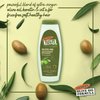Palmer's Olive Oil Smoothing Shampoo, 13.5 Ounce