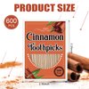 600 Picks Cinnamon Flavored Toothpicks Bulk Cinnamon Toothpicks for Adults Oral Hygiene Teeth Dental Care, Cinnamon Flavor, 6 Pack