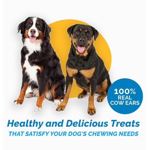 123 Treats - Dog Chews Cow Ears (10 Count) 100% Natural Animal Ears from Free Range Grass Fed Cattle with No Hormones, Additives or Chemicals