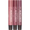 Burt's Bees Lip Balm Spring Gifts, 3 Nourishing Lip Care Shimmers for All Day Glow, Kissable Color Spring Gift Set -Peony, Fig & Rhubarb (Packaging May Vary)