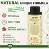 ecoLove - Natural Moisturizing Body Wash for Dry Skin - With Organic Cucumber - No SLS or Parabens - Vegan and Cruelty-Free Shower Gel, 17.6 oz