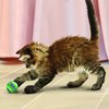 KONG - Cat Active Tennis Balls with Bells - Juguete para gatos con un cascabel dentro - Pack de 1