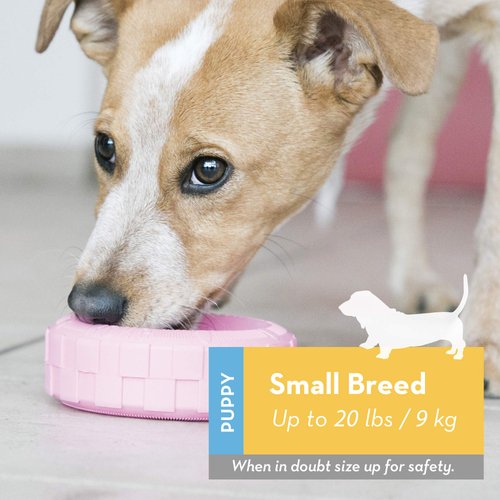 KONG Puppy Tires - Dog Chew Toy for Puppies - Stuffable Dog Toy for Treats & Snacks - Natural Rubber Chew Toy for Teething Puppy - for Small Puppies - Assorted Colors